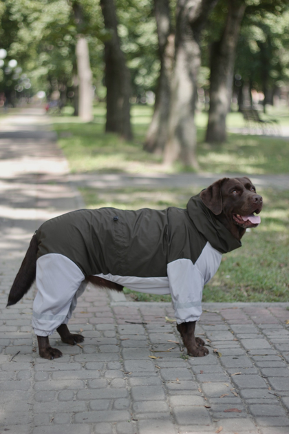 Дождевик для больших собак Dogs Bomba хаки, размер 10 от продавца ...