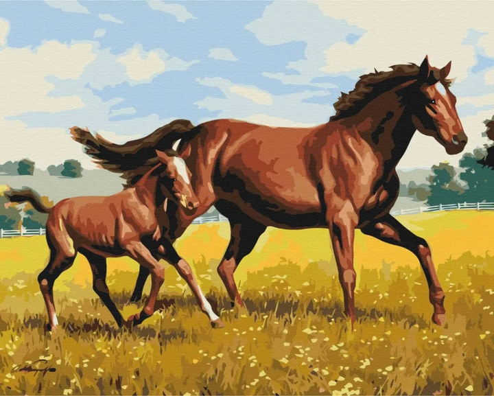 Malowanie po numerach Symag Paint it Rodzinny galop 50 x 40 cm (5904433381079) - obraz 1