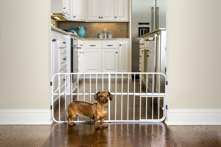 Ogrodzenie dla psów Carlson Gate Lil Tuffy Expandable With Door (0891618006184) - obraz 2