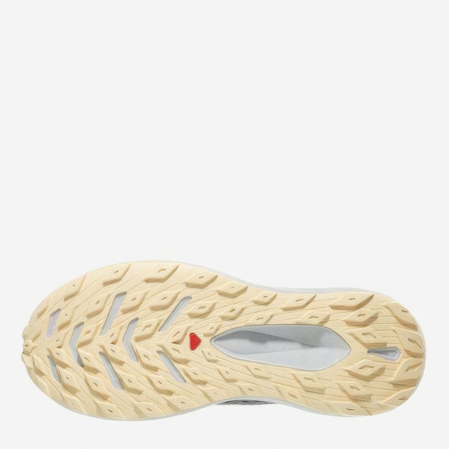 Buty do biegania męskie Salomon Glide Max Tr L47120500 44 (10US) 28 cm Szare (195751256056) - obraz 5