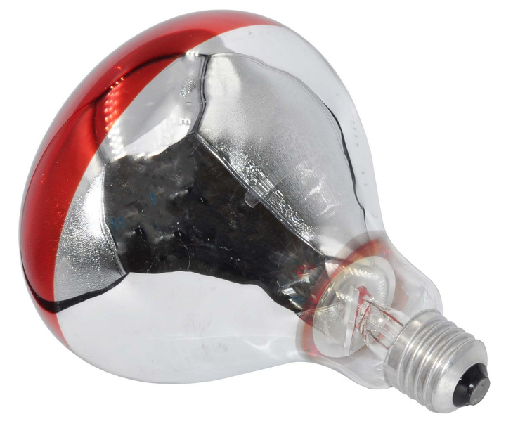 Лампа инфракрасная для инкубатора Bellight R125 250W E27 – фото, отзывы ...