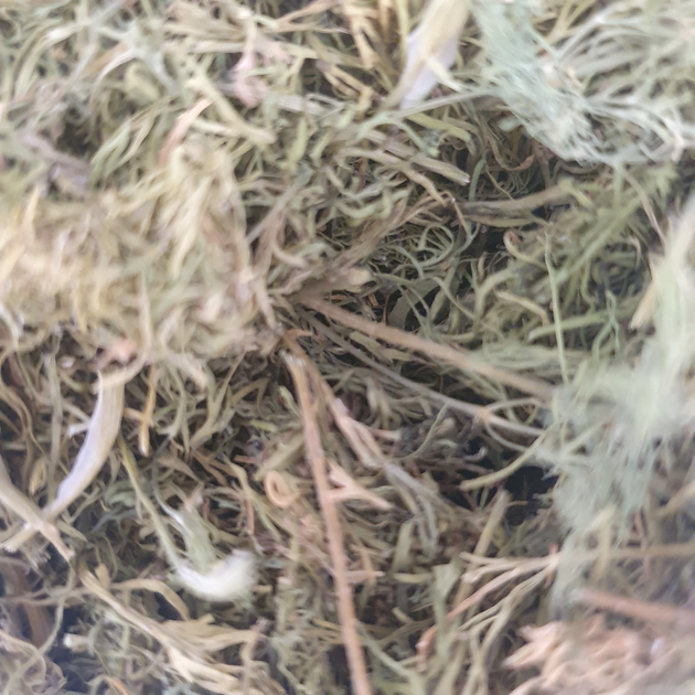 Кріп трава сушена 100 г - зображення 1