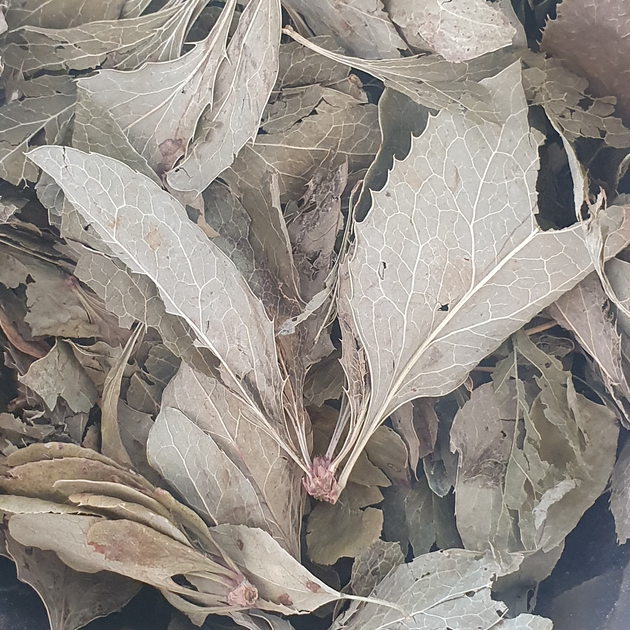 Барбарис звичайний трава/листя сушене 100 г - зображення 1