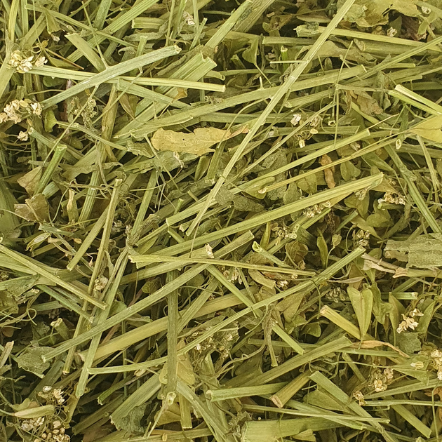 Пастушья сумка трава сушеная 100 г - изображение 1