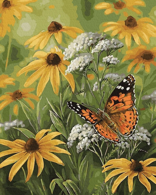 Картинки бабочки и цветы