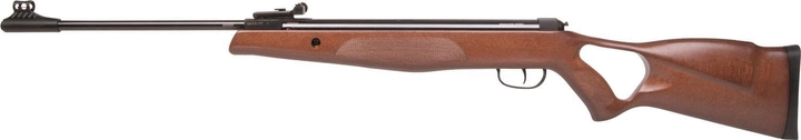 Гвинтівка пневматична Diana Mod.250 - зображення 1