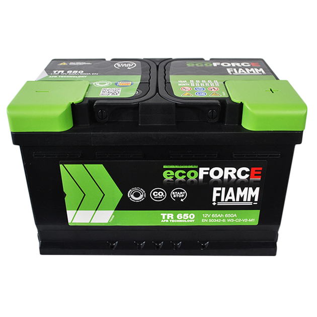 Автомобильный аккумулятор Fiamm Ecoforce AFB 65Аh 650А R+ (TR650) (L3B) - Фото 6 Автомобильный аккумулятор Fiamm Ecoforce AFB 65Аh 650А R+ (TR650) (L3B) - изображение 6