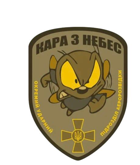 Шеврон патч Муха окремий ударний підрозділ аеророзвідки на липучці велкро - зображення 1