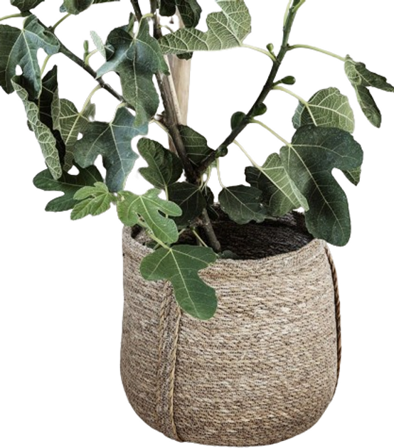 Кашпо для кімнатних рослин House Doctor Plant Basket натуральні 2 шт (212470103) - зображення 2