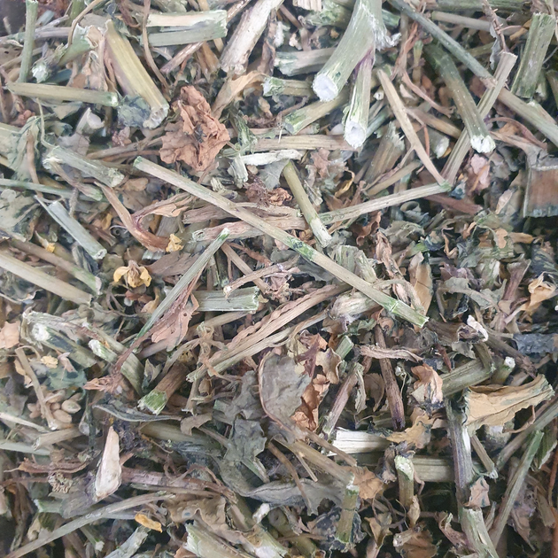 Сурепка обыкновенная трава сушеная 100 г - изображение 1