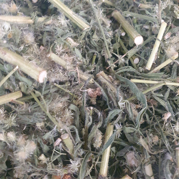 Злинка канадська/заткни гузно трава сушена 100 г - зображення 1