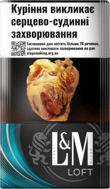 洋楽 Gentlemen X Smooth & Soft 1994 Mega Rare Блок сигарет L&M Loft Green x 10 пачек (4823003215549) – фото