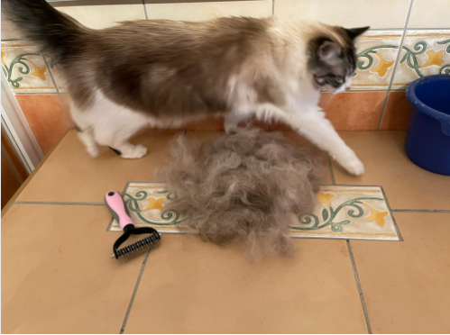 Колтуноріз для видалення підшерстя Single Side Pet Hair Knots Dematting Comb для собак та кішок M pink - зображення 6