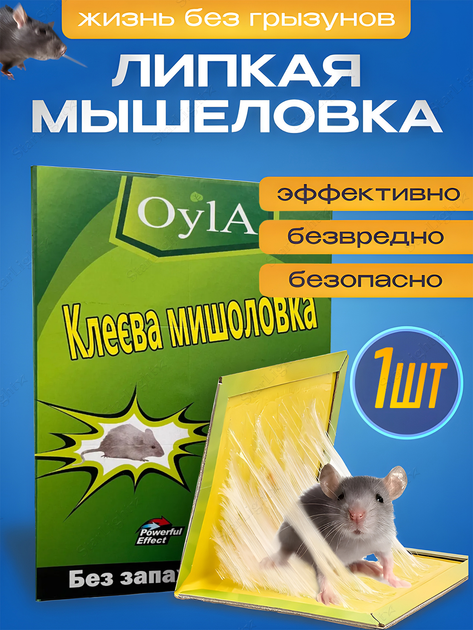 Борьба с грызунами: как сделать простую, но очень эффективную ловушку для крыс