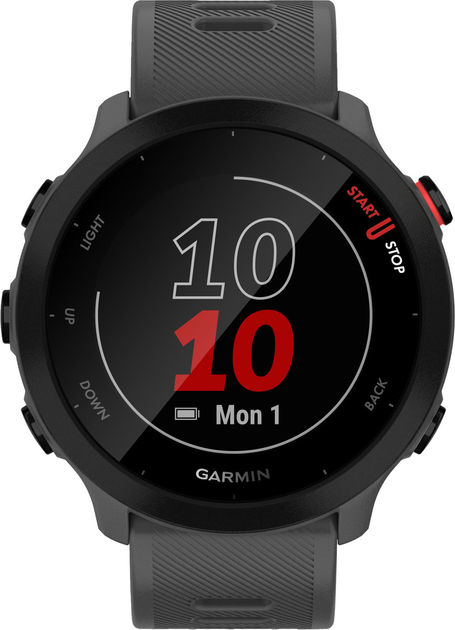 Smartwatch Garmin Forerunner 55 42 mm Monterra Grey (010-02562-13) - obraz 2