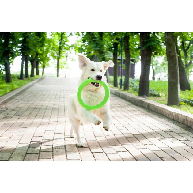Игрушки Collar PitchDog Кольцо для апортировки, салатовый d: 20 см (z62375) - Фото 4 Игрушки Collar PitchDog Кольцо для апортировки, салатовый d: 20 см (z62375) - изображение 4