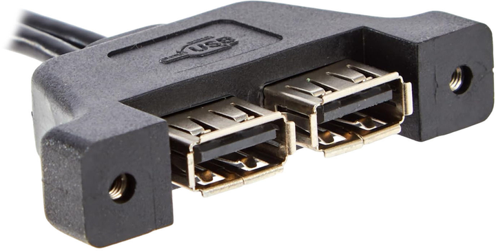 Kabel ASRock Deskmini 2xUSB 2.0 Cable Czarny (5RB000010020) - obraz 1