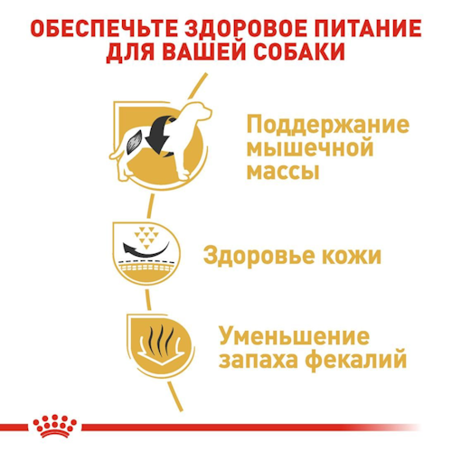Сухой корм Royal Canin French BullDog Adult для собак породы Французский бульдог 3 кг (арт 3991030) - изображение 5