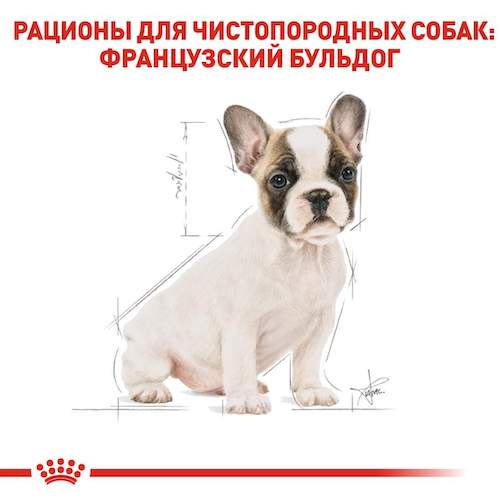 Сухой корм Royal Canin French BullDog Puppy для щенков породы Французский бульдог 1 кг (арт 39900101) - изображение 5