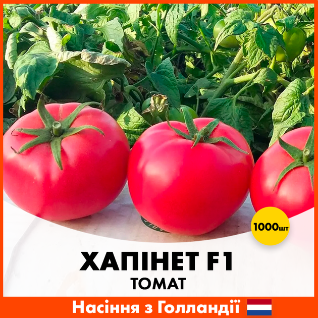 Голландские семена Syngenta Томат Хапинет F1 1000 шт - Фото 1 Голландские семена Syngenta Томат Хапинет F1 1000 шт - изображение 1