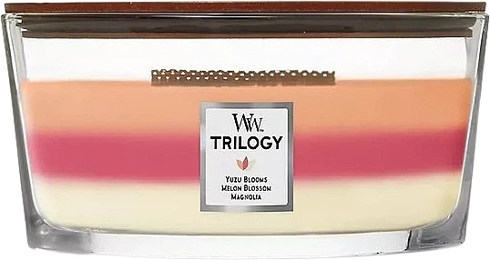Ароматична свічка - WoodWick Blooming Orchard Candle 610g (1095481-1456582-2) - Фото 1 Ароматична свічка - WoodWick Blooming Orchard Candle 610g (1095481-1456582-2) - зображення 1