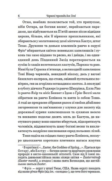 Безхатьки та Приблуді/О. Генрі/9789661062640 - зображення 5