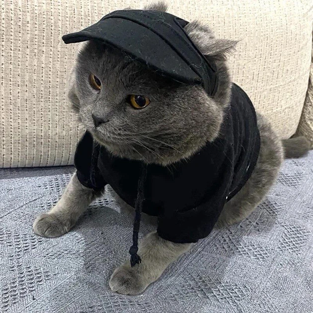 Кепка "TAILUP" для котов и собак Black Size S - изображение 4