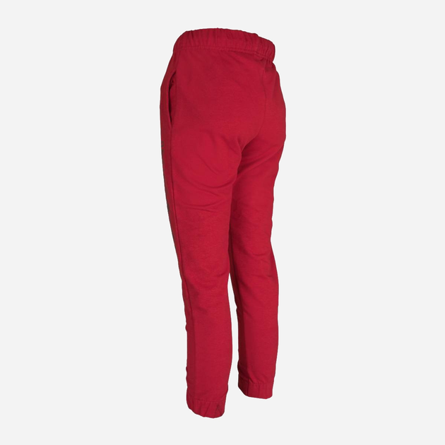Дитячі спортивні штани для хлопчика Tup Tup PIK4050-2610 110 см Бордові (5901845292313) - зображення 2