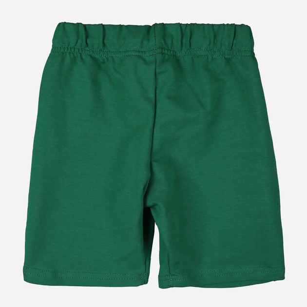Дитячі шорти для хлопчика Tup Tup PIK4120-5000 122 см Зелені (5907744044398) - зображення 2