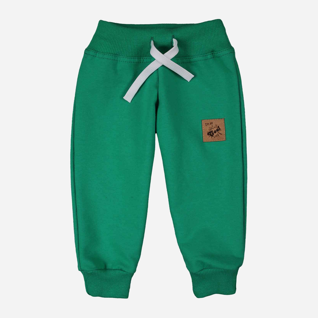 Spodnie dresowe dziecięce dla chłopca Tup Tup PIK9010-5000 92 cm Zielone (5901845299497) - obraz 1