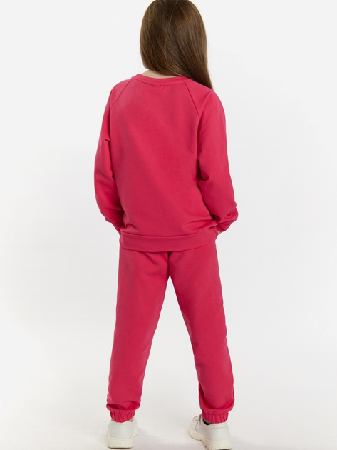 Дитячий спортивний костюм (світшот + штани) для дівчинки Tup Tup 101410-2200 110 см Малиновий (5907744491543) - зображення 2