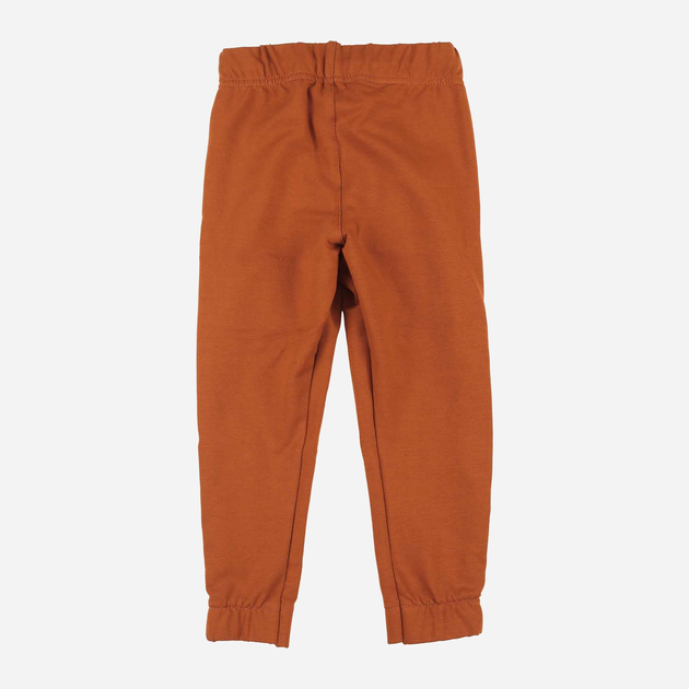 Дитячі спортивні штани для хлопчика Tup Tup PIK4060-4620 116 см Коричневі (5907744498450) - зображення 2