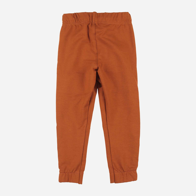 Дитячі спортивні штани для хлопчика Tup Tup PIK4060-4620 128 см Коричневі (5907744498474) - зображення 2