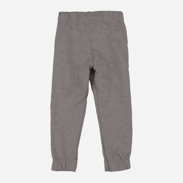 Дитячі теплі спортивні штани для хлопчика Tup Tup PIK5031-8110 110 см Сірі (5907744517052) - зображення 2