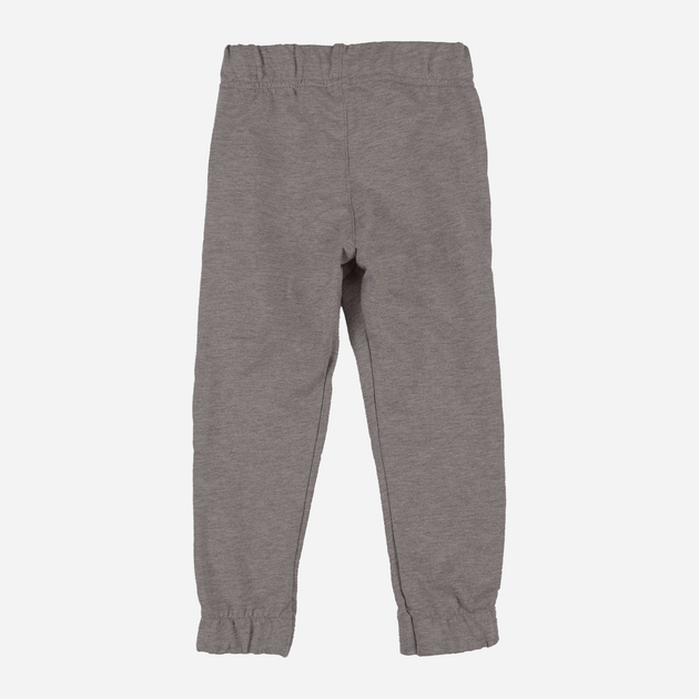 Дитячі теплі спортивні штани для хлопчика Tup Tup PIK5031-8110 134 см Сірі (5907744517090) - зображення 2