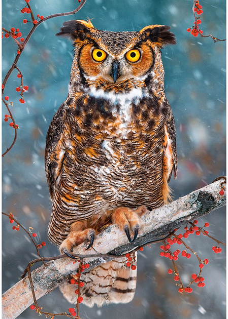Пазл Castorland Great Horned Owl 500 елементів (5904438052387) - зображення 2