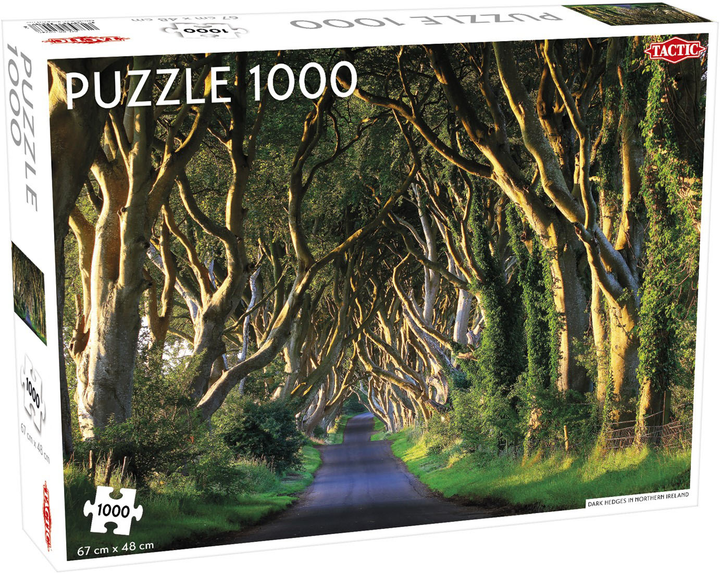 Puzzle Tactic Dark Hedges in Northern Ireland 1000 elementów (6416739582467) - obraz 1