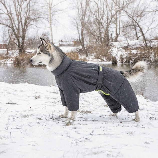 Одяг Pet Fashion Комбінезон «Cold» для собак, сірий XL (1111167358) - Фото 4 Одяг Pet Fashion Комбінезон «Cold» для собак, сірий XL (1111167358) - зображення 4