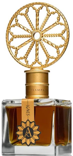 Perfumy unisex Angela Ciampagna Cineres Collection Ignes 100 ml (8437020930109) - obraz 2