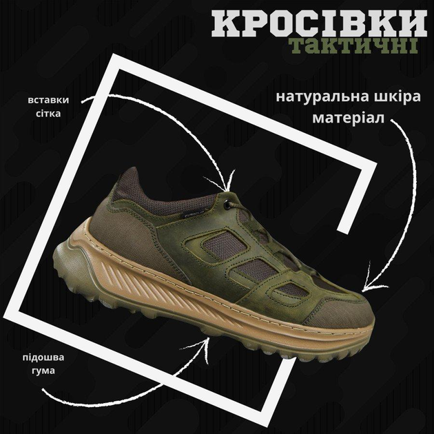 Тактические кроссовки extreme olive ВТ0967 43 - изображение 1