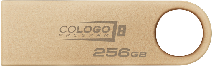 Флеш пам'ять USB Kingston DataTraveller SE9 G3 256GB USB 3.2 Gen 1 Gold (DTSE9G3/256GB) - зображення 5