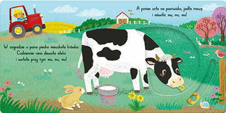Książka dla dzieci AWM Zwierzęta na wsi. Wesoła zagroda - Elżbieta Korolkiewicz (9788381813532) - obraz 2