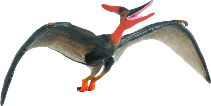 Figurka Collecta Dinozaur Pteranodon Deluxe 24 cm (4892900882499) - obraz 1