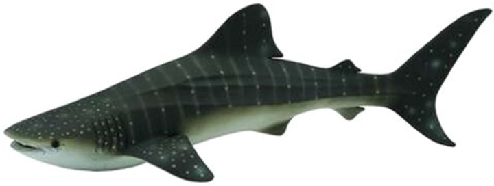 Figurka Collecta Whale Shark XL (4892900884530) - obraz 1