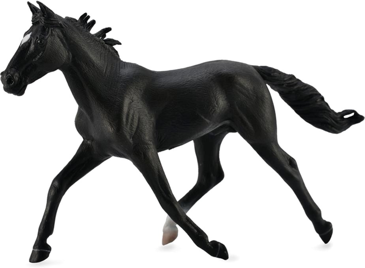Figurka Collecta Standardbred Pacer Stallion Black 18 cm (4892900886459) - obraz 1