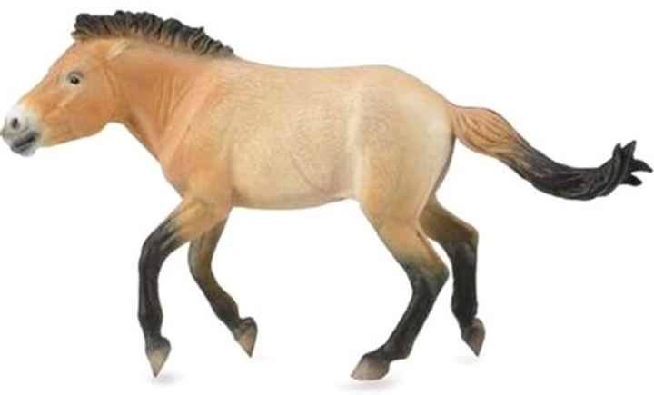 Figurka Collecta Collecta Przewalski stallion XL 16 cm (4892900886022) - obraz 1