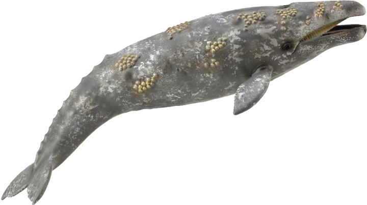 Figurka Collecta Whale Gray XL 23 cm (4892900888361) - obraz 1