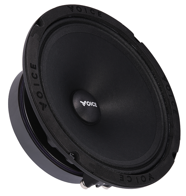 Эстрадная акустика Voice SP-60A (SP-60A) - изображение 4