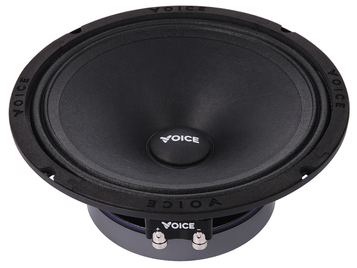 Эстрадная акустика Voice SP-80A (SP-80A) - изображение 3