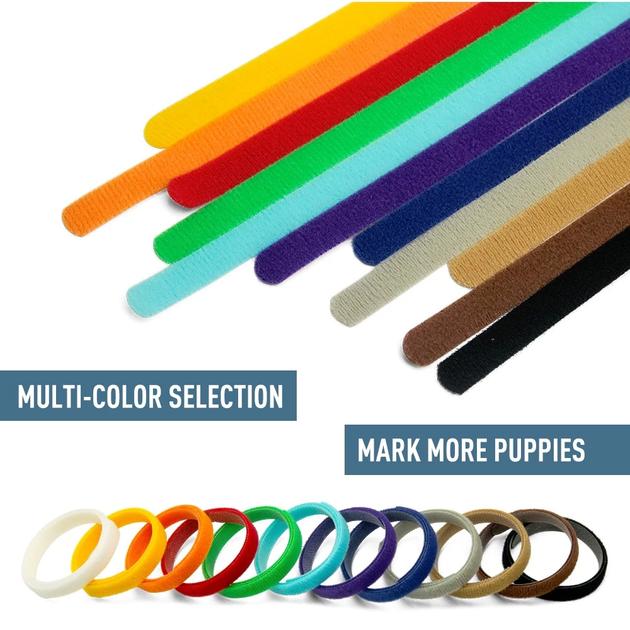 Комплект нашийників для цуценят та кошенят id Collars for Puppies, 12 шт. M - зображення 6